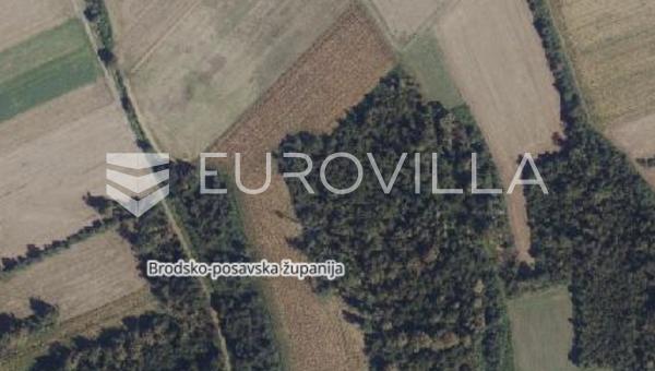 Beravci, agricultural land 5.41 ha