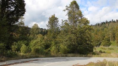Fužine, predivan ravan teren 946 m², blizini jezera Bajer