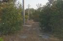 Imotski- Lovreć unique property comprising 5,250 m² of building land with a forest. - 2
