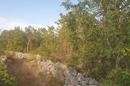 Imotski- Lovreć unique property comprising 5,250 m² of building land with a forest. - 1