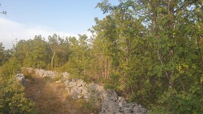 Imotski- Lovrec propiedad única que comprende 5.250 m² de terreno edificable con un bosque.