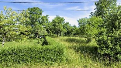 Ravna Gora, Kupjak - 812 m² rakennustontti luontonäkymillä
