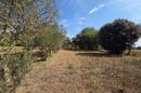 Istria, Pavičini - Casa para reformar en una espaciosa parcela de 1.531 m² - 19