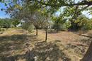Istria, Pavičini - Casa para reformar en una espaciosa parcela de 1.531 m² - 6