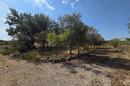 Istria, Pavičini - Casa para reformar en una espaciosa parcela de 1.531 m² - 15