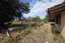 Istria, Pavičini - Casa para reformar en una espaciosa parcela de 1.531 m² - 11