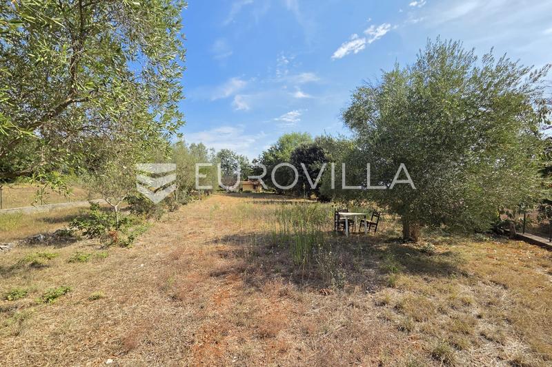 Istria, Pavičini - Casa para reformar en una espaciosa parcela de 1.531 m² - 3