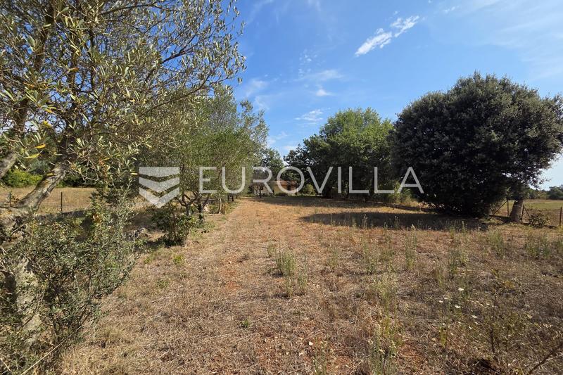Istria, Pavičini - Casa para reformar en una espaciosa parcela de 1.531 m² - 19