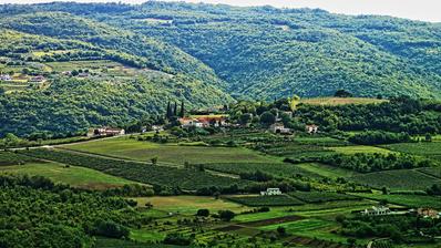 Istria, Labin, byggetomt i en skogsidyll