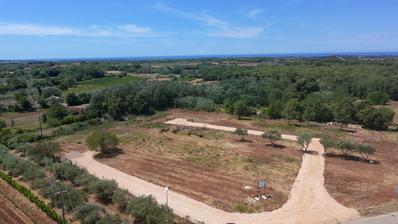 Istra, Brtonigla, Građevinsko zemljište 815 m², idealno za luksuznu vilu s bazenom