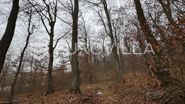 Levanjska Varoš, se vende bosque y terreno, con un total de aproximadamente 60 hectáreas.