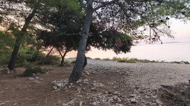 Vir, Pedinka, parcela edificable de 656 m².