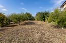 Brodsko Vinogorje, espaciosa casa familiar en una parcela de 2.144 m² - 17