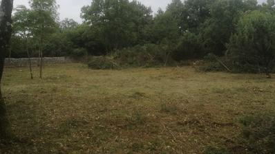 Istriassa, Svetvinčenatin alueella - tilava sekamaa 11595 m2