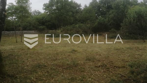 İstria, Svetvicenat bölgesi - geniş karma arazi 11595 m2