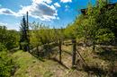 Zagreb, Gračani, Lipovčica - 870 m² mark med 2 lagliga byggnader - 12