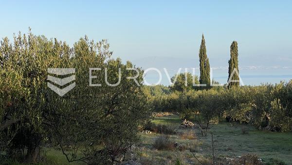 Brač, Mirca, poljoprivredno zemljište