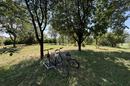 Drenje, Podgorje Bračevačko, vikendica s velikim potencijalom u blizini jezera Borovik - 4