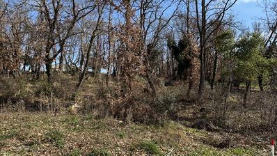 Marcana, Loborika, terreno agricolo in posizione tranquilla