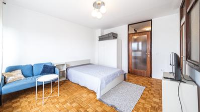 Zagreb, Trnje, Vrbik, ettromsleilighet, 42 m²