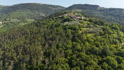 Istra, okolica Oprtlja, Ekskluzivno T3 turističko zemljište za boutique kamp ili glamping