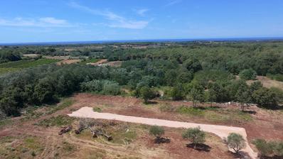 Istra, Brtonigla, Građevinsko zemljište 815 m², idealno za luksuznu vilu s bazenom