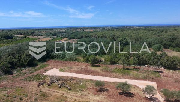 Ístria, Brtonigla - Terreno Edificável de 815 m², Ideal para uma Moradia de Luxo com Piscina