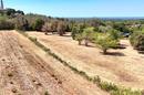 Ístria, Visnjan - Atraente terreno para construção de 1.027 m² com vista para o mar e o campo - 3