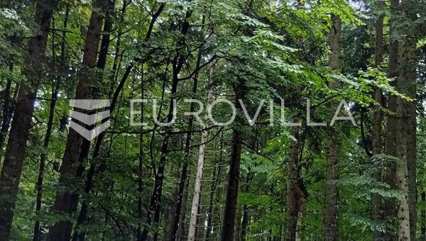 Vrbovsko, Lukovdol, 31.000 m² ormanlık alan