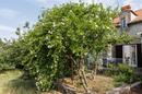 Dubrovnik, Zvekovica - Appartement met twee verdiepingen en een privétuin op een rustige locatie - 7