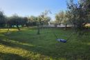 Istra, Galižana, čudovita pritlična hiša velikosti 152 m² z ogrevanim bazenom in tlemi v oljčnem nasadu. - 24