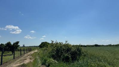 Dakovo - Terrain agricole à proximité de la rocade, 12 597 m²
