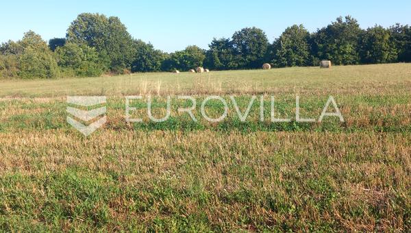 Istria, Svetvincenat, terreno agrícola 8182 m²