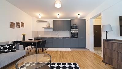 Osijek, City Center, first rental of a one-bedroom apartment with a parking space, 46 m²