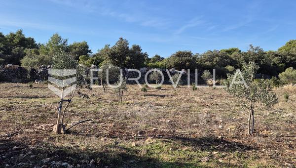 Šolta, Gornje Selo, poljoprivredno zemljište s maslinikom površine 2.653 m²