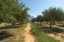 Nin, Zdrijac duplex exclusif, 2 piscines, 2 terrasses sur le toit - 15