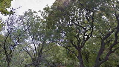 Rijeka, Kostrena, zemljište 415 m² s potencijalom za gradnju uz mogućnost dokupa