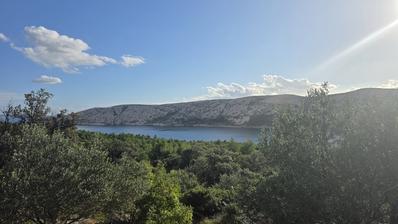 Rab, Barbat, Zeytinlikli ve deniz manzaralı tarım arazisi 3292 m²