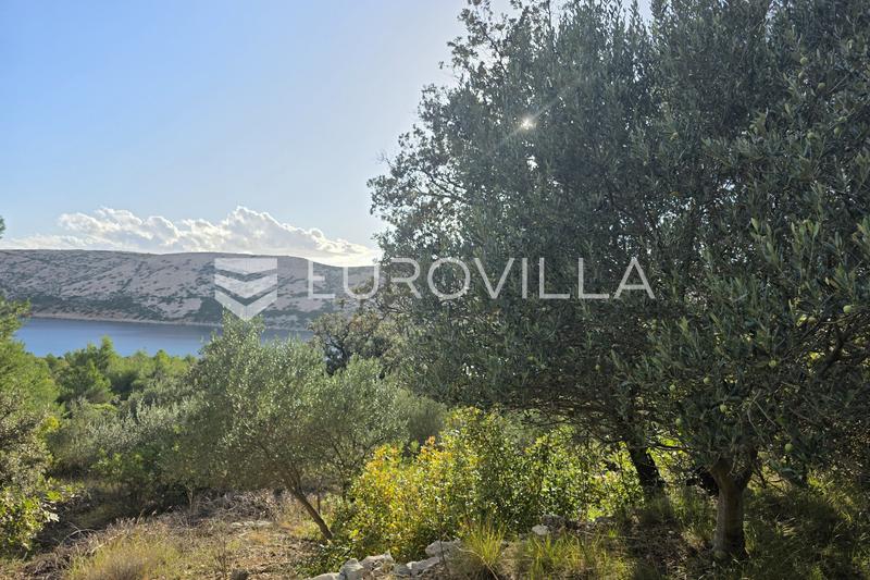 Rab, Barbat, Jordbruksland med olivenlund og havutsikt 3292 m² - 3