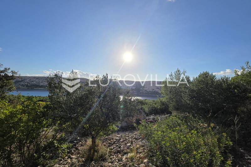 Rab, Barbat, Jordbruksland med olivenlund og havutsikt 3292 m² - 2