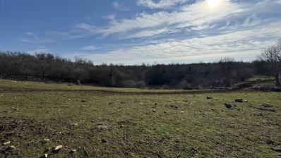 Istra, Poreč okolica - građevinsko zemljište 1154 m2 na rubu urbanizacije okruženo zelenilom