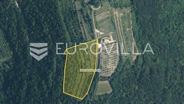 Istria, Grožnjan - Završje, esclusivo terreno di 11.542 m² con vista panoramica sul mare