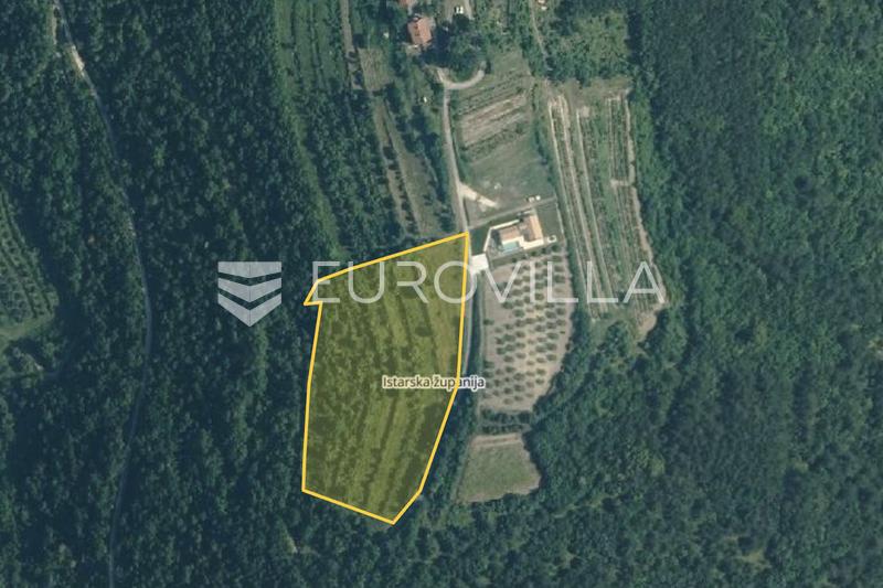 Istria, Grožnjan - Završje, exclusive land plot of 11,542 m² with panoramic sea view
