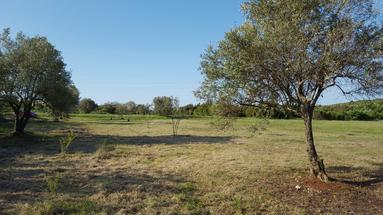Istria, Rovinjsko selo, terreno agrícola que abarca una superficie total de 6.599m2 con una pequeña edificación.
