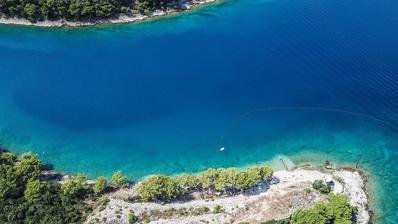 Brač, Povlja, poljoprivredno zemljište s pogledom, 17.500 m²