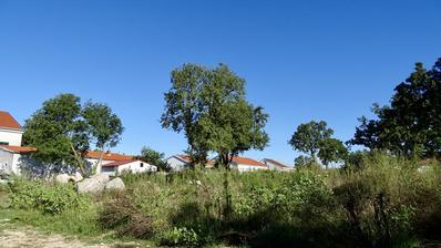 Krk, Njivice, projeli ve inşaat ruhsatlı imar parseli, 735 m², denize 500 m mesafede