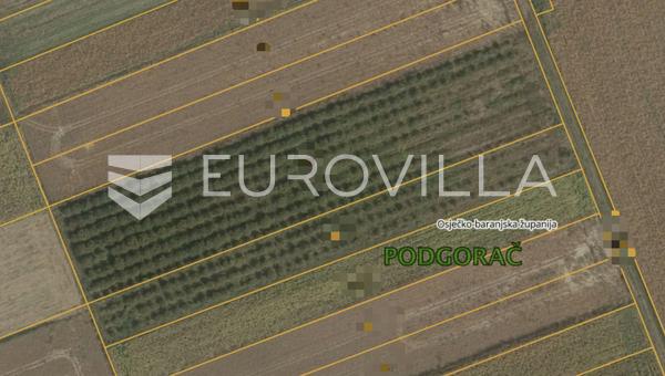 Podgorac - Terreno agrícola con huerto de avellanos, 11.622 m²