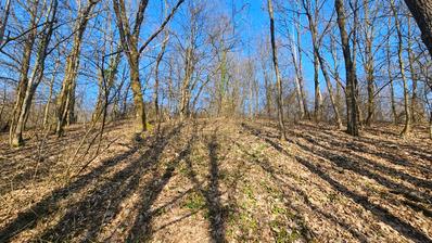 Velika gorica, zemljište 6.802 m², Babićev brijeg i Katin grob | Mir, priroda i potencijal za OPG