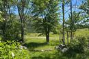 Baške Oštarije, Building Land - 6,400 m² on Velebit - 5