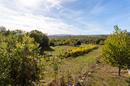 Trolokve, three-story house on a beautiful estate - 49